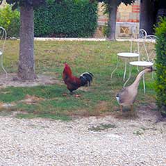 Ferme du Chatel Gourmet